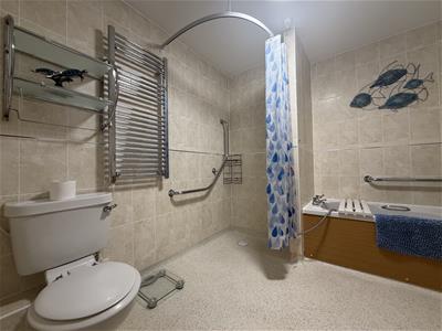 Picture 8